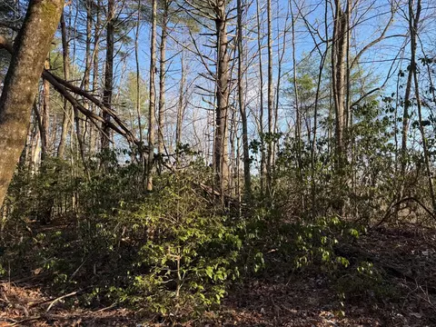 lot43 Laurel Ln, Murphy, NC 28906 photo 7