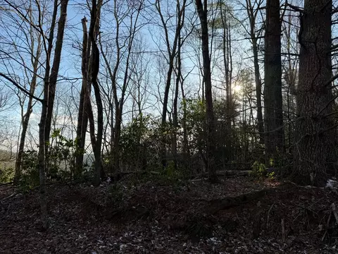 lot43 Laurel Ln, Murphy, NC 28906 photo 14