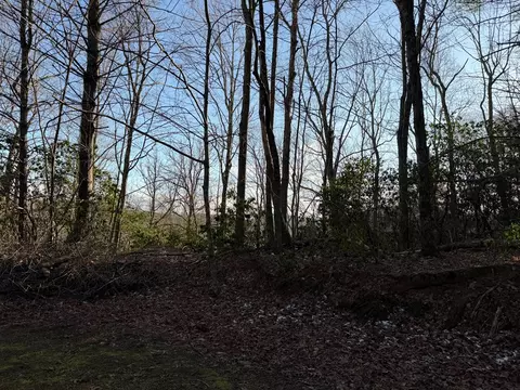 lot43 Laurel Ln, Murphy, NC 28906 photo 17