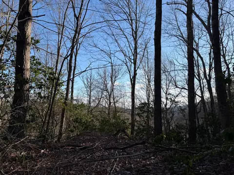 lot43 Laurel Ln, Murphy, NC 28906 photo 4