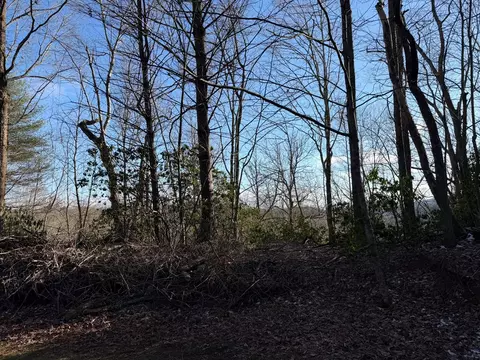 lot43 Laurel Ln, Murphy, NC 28906 photo 15