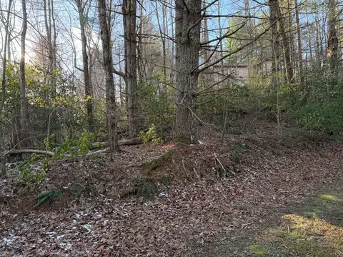lot43 Laurel Ln, Murphy, NC 28906 photo 19