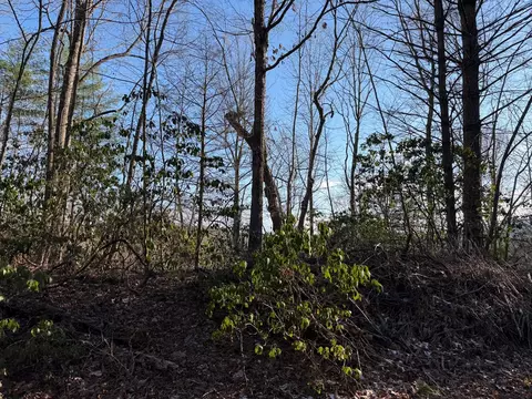 lot43 Laurel Ln, Murphy, NC 28906 photo 20