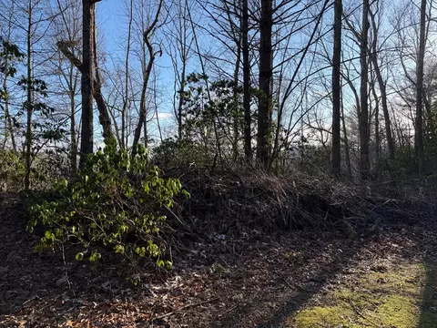 lot43 Laurel Ln, Murphy, NC 28906 photo 21