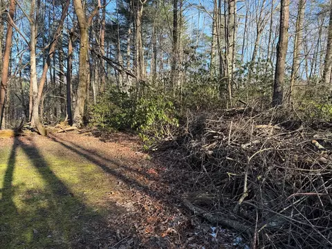 lot43 Laurel Ln, Murphy, NC 28906 photo 2