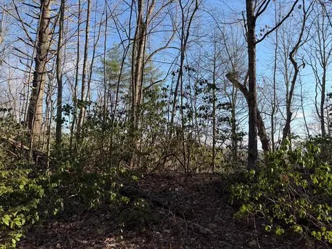 lot43 Laurel Ln, Murphy, NC 28906 photo 6