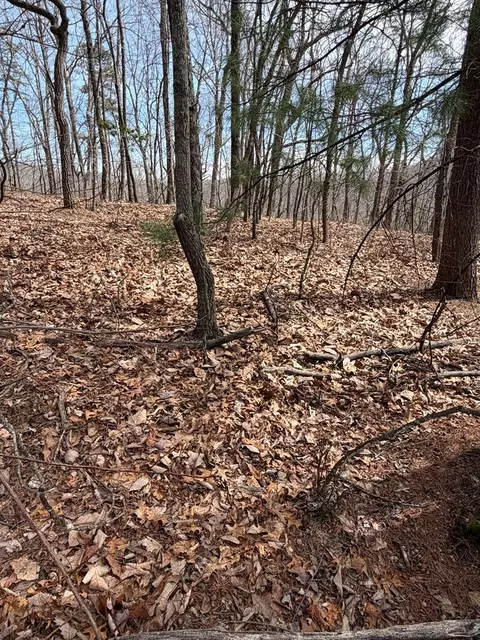 7 26 Ac Panorama Dr, Murphy, NC 28906 photo 3
