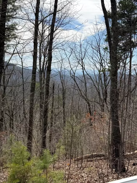 7 26 Ac Panorama Dr, Murphy, NC 28906 photo 6
