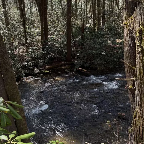 View/Area - 494 Lower Prince Mountain Rd, Cherry Log, GA 30522 photo 4 of 4