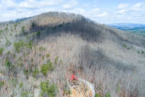Other - 494 Lower Prince Mountain Rd, Cherry Log, GA 30522 photo 5 of 12