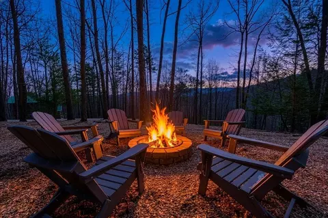 494 Lower Prince Mountain Rd, Cherry Log, GA 30522