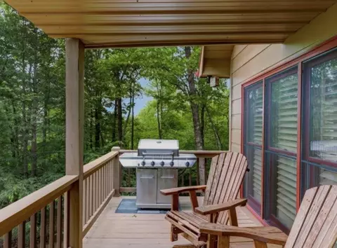 Exterior - 494 Lower Prince Mountain Rd, Cherry Log, GA 30522 photo 4 of 9