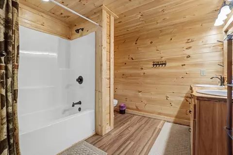 Bath - 494 Lower Prince Mountain Rd, Cherry Log, GA 30522 photo 4 of 4