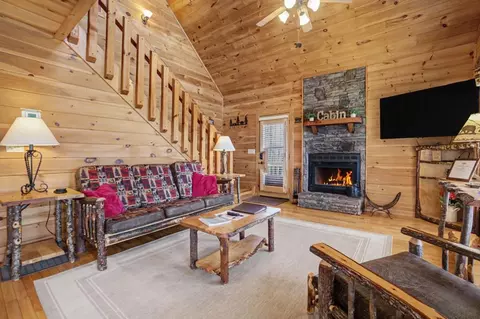 Living - 494 Lower Prince Mountain Rd, Cherry Log, GA 30522 photo 2 of 4