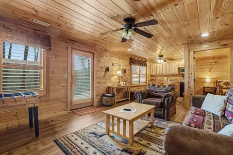 Living - 494 Lower Prince Mountain Rd, Cherry Log, GA 30522 photo 4 of 4