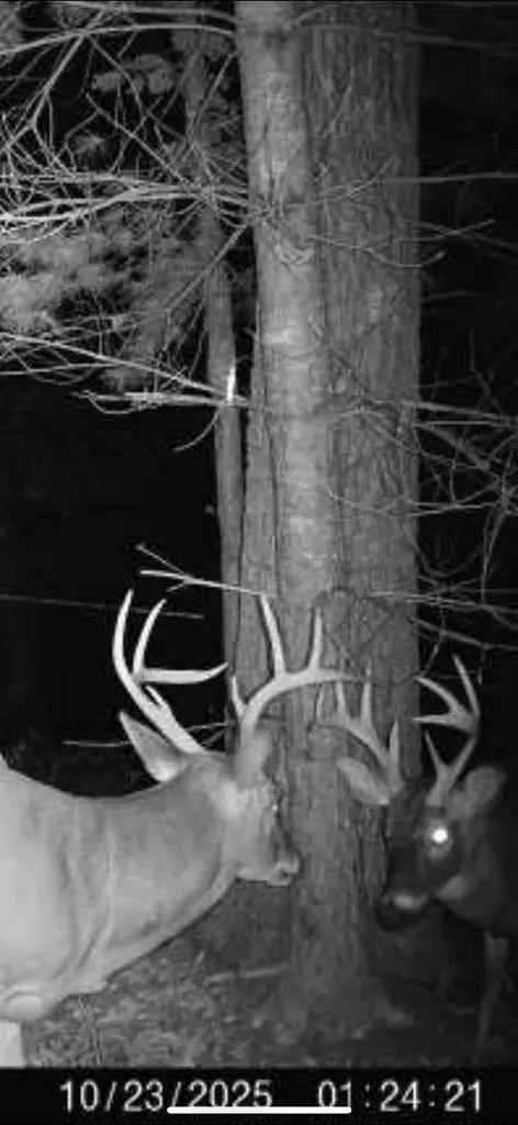 00 Culberson Rnch, Murphy, NC 28906