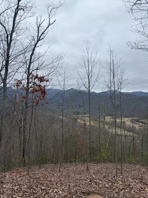 00 Ethan Rdg, Hayesville, NC 28909