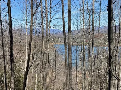 Tract 1 Brer Fox Ridge, Hiawassee, GA 30546