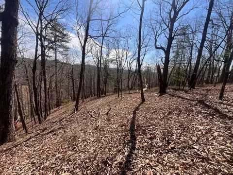 156 Drena Drive, Ellijay, GA 30540