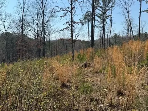 lot339 Timber Creek Trl, Talking Rock, GA 30175