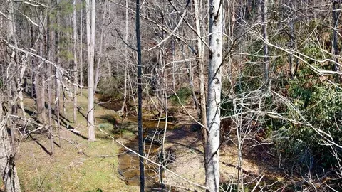0 Red Oak Trl, Ellijay, GA 30540