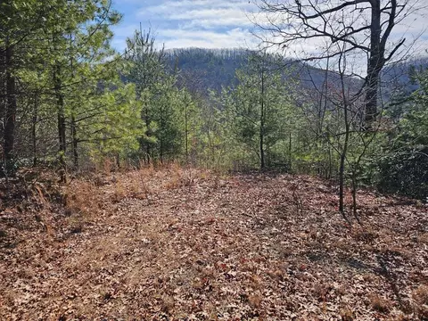 51 Kudzu Creek Trl, Murphy, NC 28906