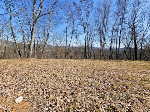 lot39 Merlin Trailwarbler Rd, Murphy, NC 28906 photo 11