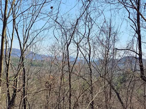lot39 Merlin Trailwarbler Rd, Murphy, NC 28906
