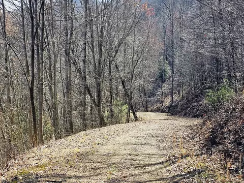 lot39 Merlin Trailwarbler Rd, Murphy, NC 28906 photo 8