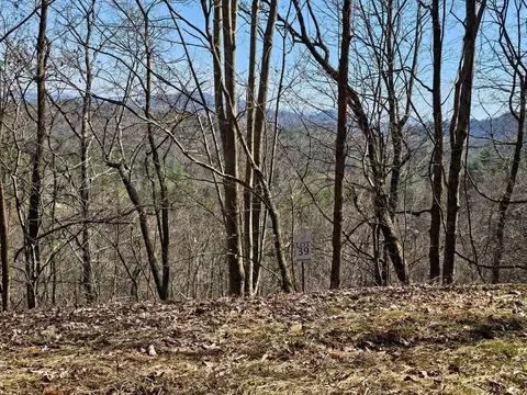 lot39 Merlin Trailwarbler Rd, Murphy, NC 28906 photo 13