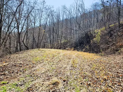 lot39 Merlin Trailwarbler Rd, Murphy, NC 28906 photo 16