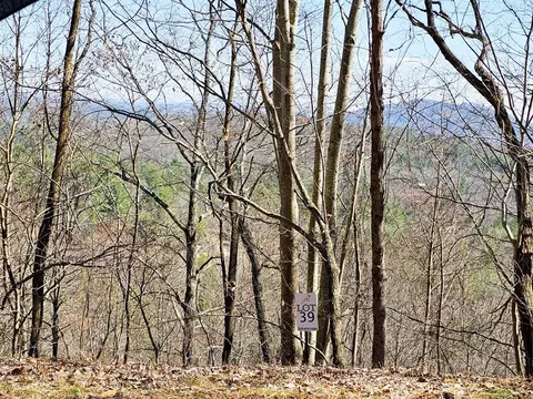 lot39 Merlin Trailwarbler Rd, Murphy, NC 28906 photo 6