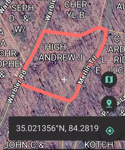 lot39 Merlin Trailwarbler Rd, Murphy, NC 28906 photo 19