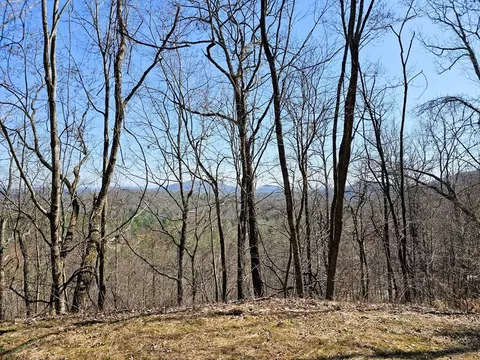 lot39 Merlin Trailwarbler Rd, Murphy, NC 28906 photo 3