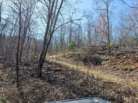 lot39 Merlin Trailwarbler Rd, Murphy, NC 28906 photo 9