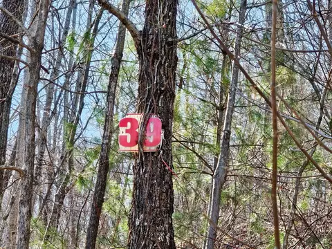 lot39 Merlin Trailwarbler Rd, Murphy, NC 28906 photo 18