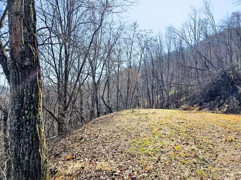lot39 Merlin Trailwarbler Rd, Murphy, NC 28906 photo 2