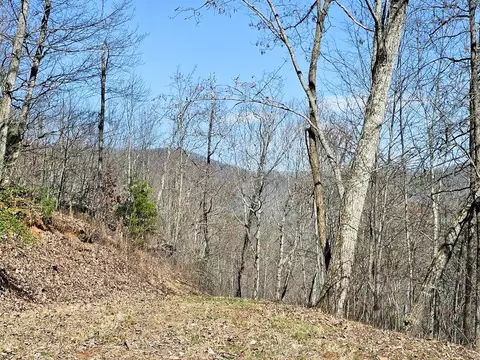 lot39 Merlin Trailwarbler Rd, Murphy, NC 28906 photo 7