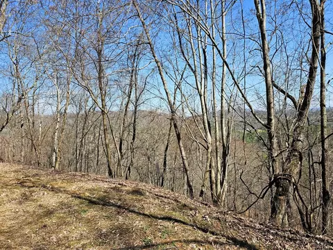 lot39 Merlin Trailwarbler Rd, Murphy, NC 28906 photo 4