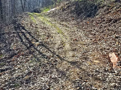 lot39 Merlin Trailwarbler Rd, Murphy, NC 28906 photo 17