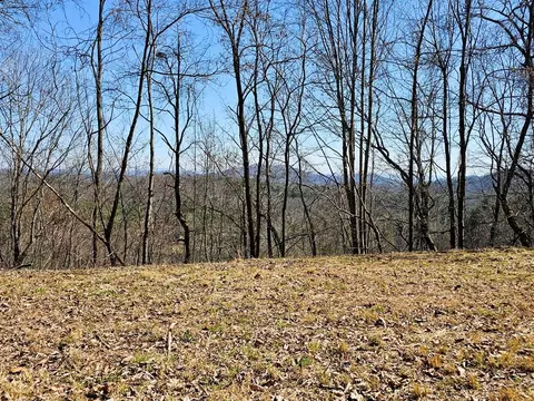lot39 Merlin Trailwarbler Rd, Murphy, NC 28906 photo 12