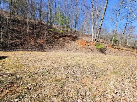 lot39 Merlin Trailwarbler Rd, Murphy, NC 28906 photo 14