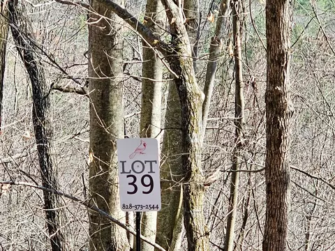lot39 Merlin Trailwarbler Rd, Murphy, NC 28906 photo 5