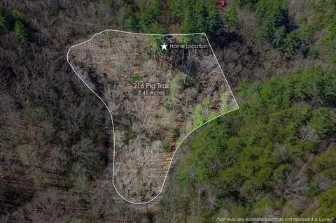View/Area - 216 Pig Trl, Cherry Log, GA 30522 photo 1 of 3