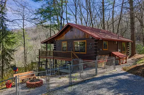 216 Pig Trl, Cherry Log, GA 30522
