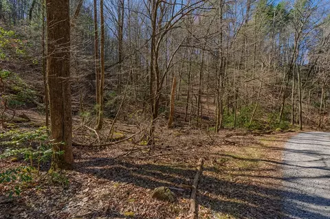 Other - 216 Pig Trl, Cherry Log, GA 30522 photo 7 of 12