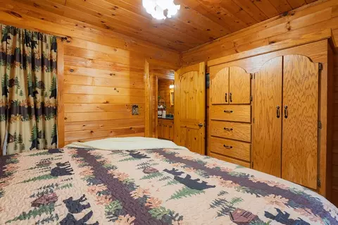 Bedroom - 216 Pig Trl, Cherry Log, GA 30522 photo 3 of 3