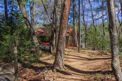 Exterior - 216 Pig Trl, Cherry Log, GA 30522 photo 9 of 9