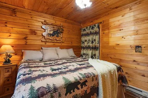 Bedroom - 216 Pig Trl, Cherry Log, GA 30522 photo 2 of 3