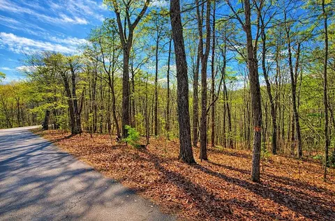 lot37 Clear Creek Acres, Talking Rock, GA 30175